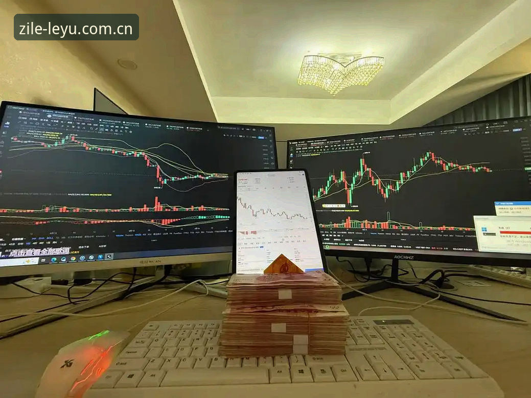 一个人的深夜看盘：一位老用户的自在随行乐鱼下载心得